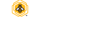 Beecology_Queenstown