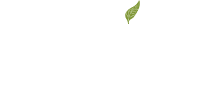 premium-new-zealand